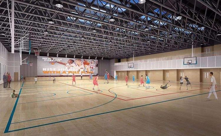 湖南常德学校体育馆平板空间吸声体工程