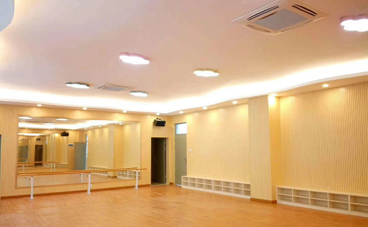 惠州小学舞蹈室隔音板工程