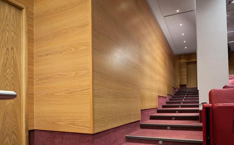 江西新余演讲厅木质穿孔吸音板声学工程